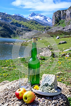 Green bottle and glass of natural Asturian cider made fromÂ fermented apples, Asturian cabrales cow blue cheese with view on